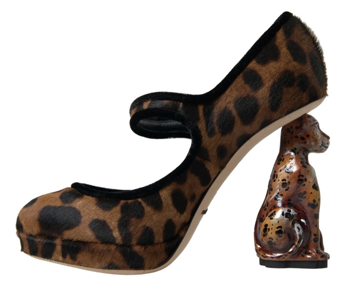 Dolce & Gabbana Elegant Leopard Heel Pumps for Chic Sophistication - EU35.5/US5