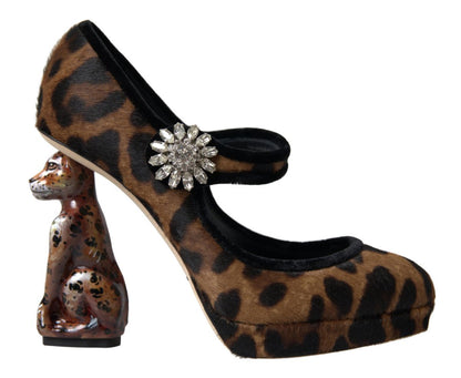 Dolce & Gabbana Elegant Leopard Heel Pumps for Chic Sophistication - EU35.5/US5