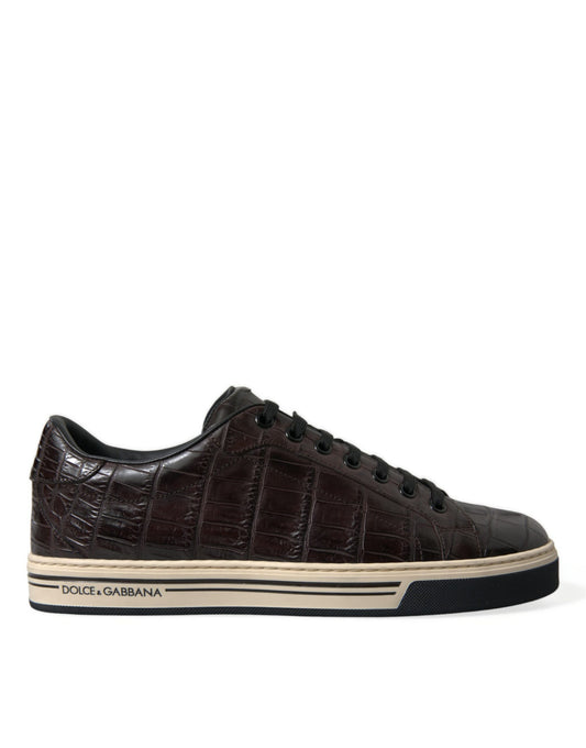 Dolce & Gabbana Elegant Exotic Leather Low-Top Sneakers - EU39/US6