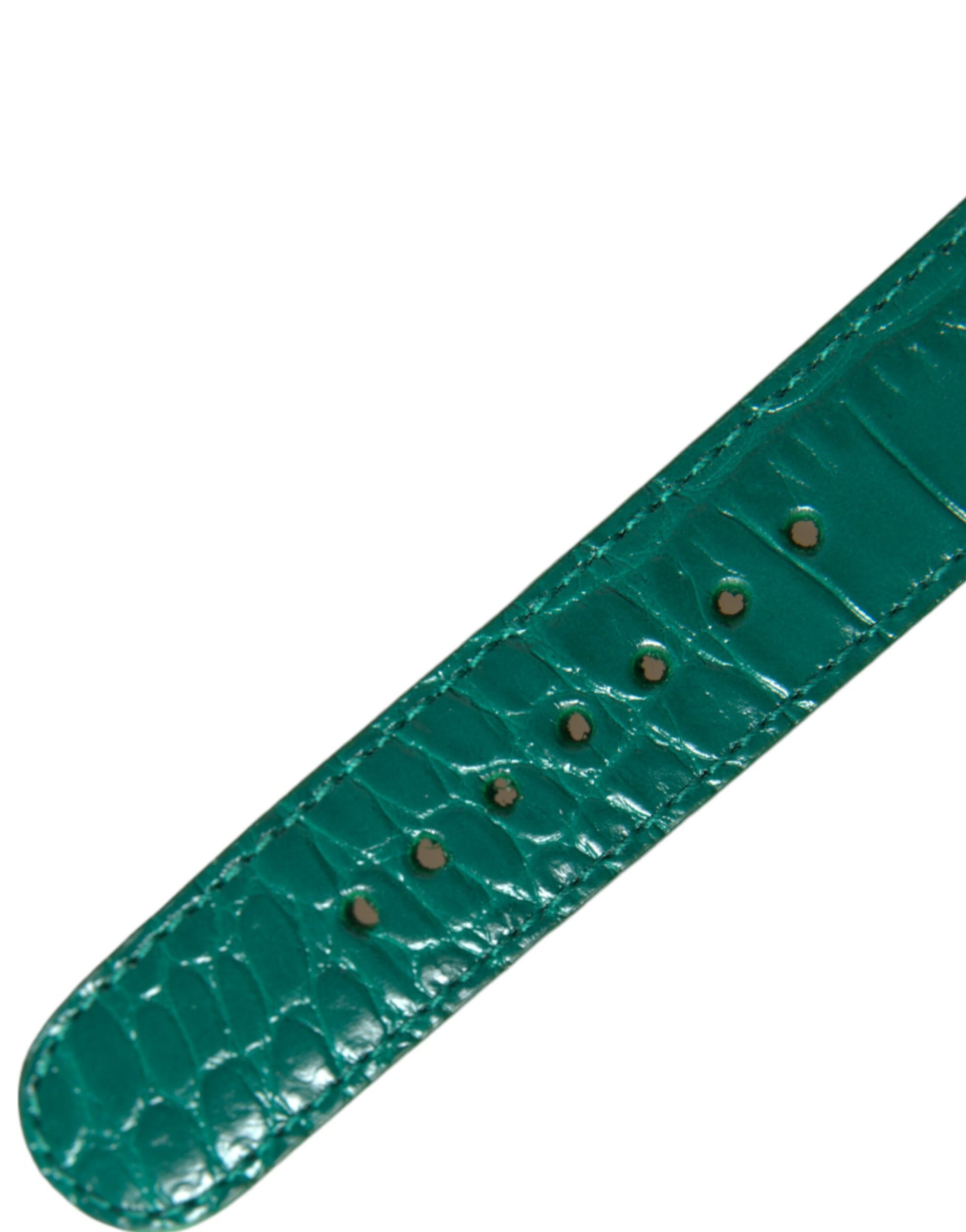 Dolce & Gabbana Elegant Green Leather Neck Band