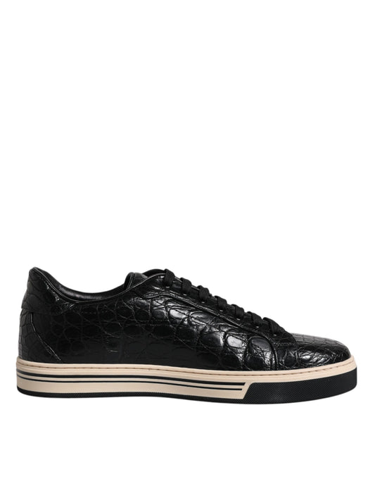 Dolce & Gabbana Black Leather Low Top Men Sneakers Shoes - EU42/US9