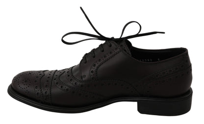 Dolce & Gabbana Elegant Bordeaux Wingtip Derby Dress Shoes - EU39/US6