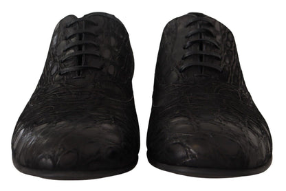 Dolce & Gabbana Elegant Exotic Leather Oxford Shoes - EU44/US11