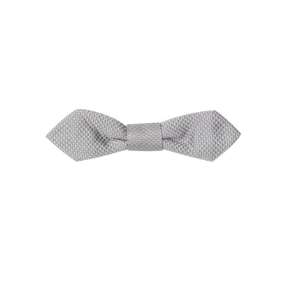 Dolce & Gabbana Silver Silk Ties & Bowty - One Size