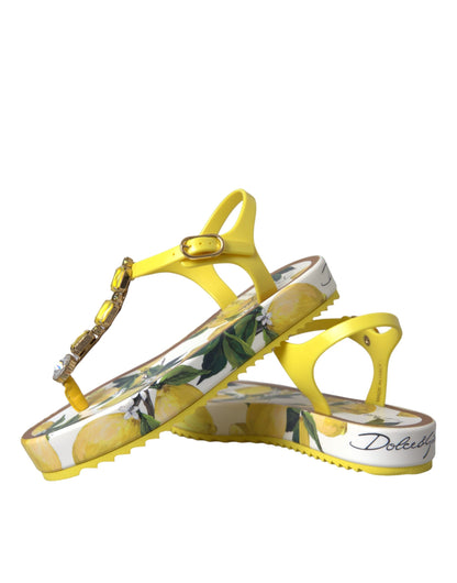 Dolce & Gabbana Yellow Lemon Beachwear Flats Sandals Shoes - EU35/US4.5